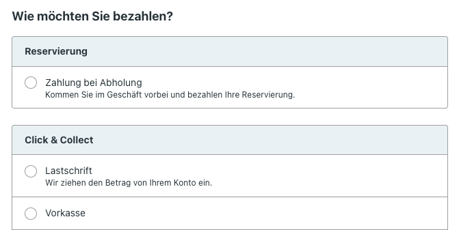 Zahlungsart wird ausgewählt
